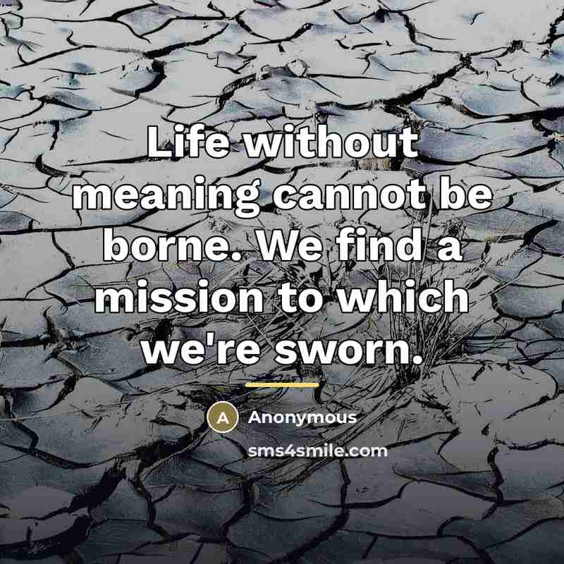 “Life without meaning cannot be borne. We find a mission…” quote by Anonymous