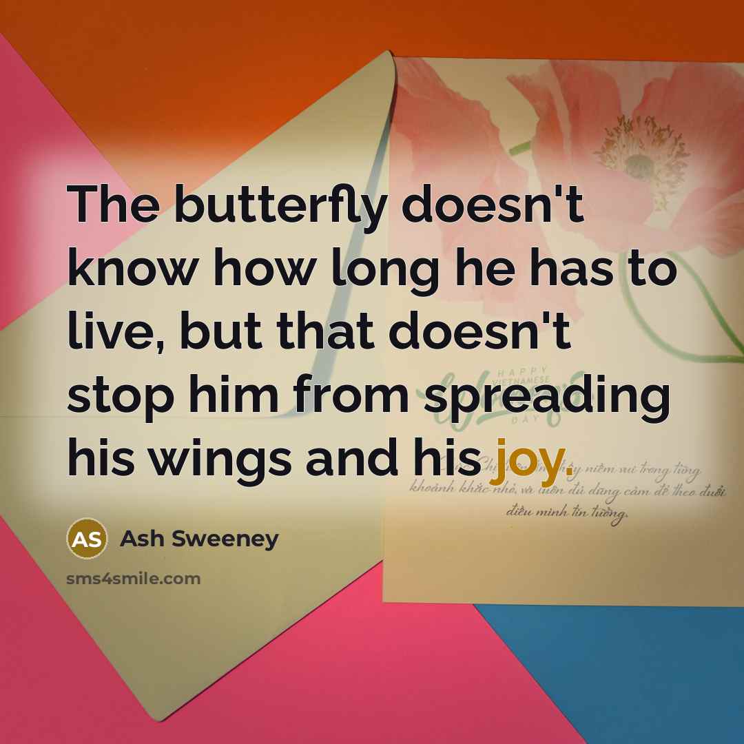 “The butterfly doesn't know how long he has to live,…” quote by Ash Sweeney