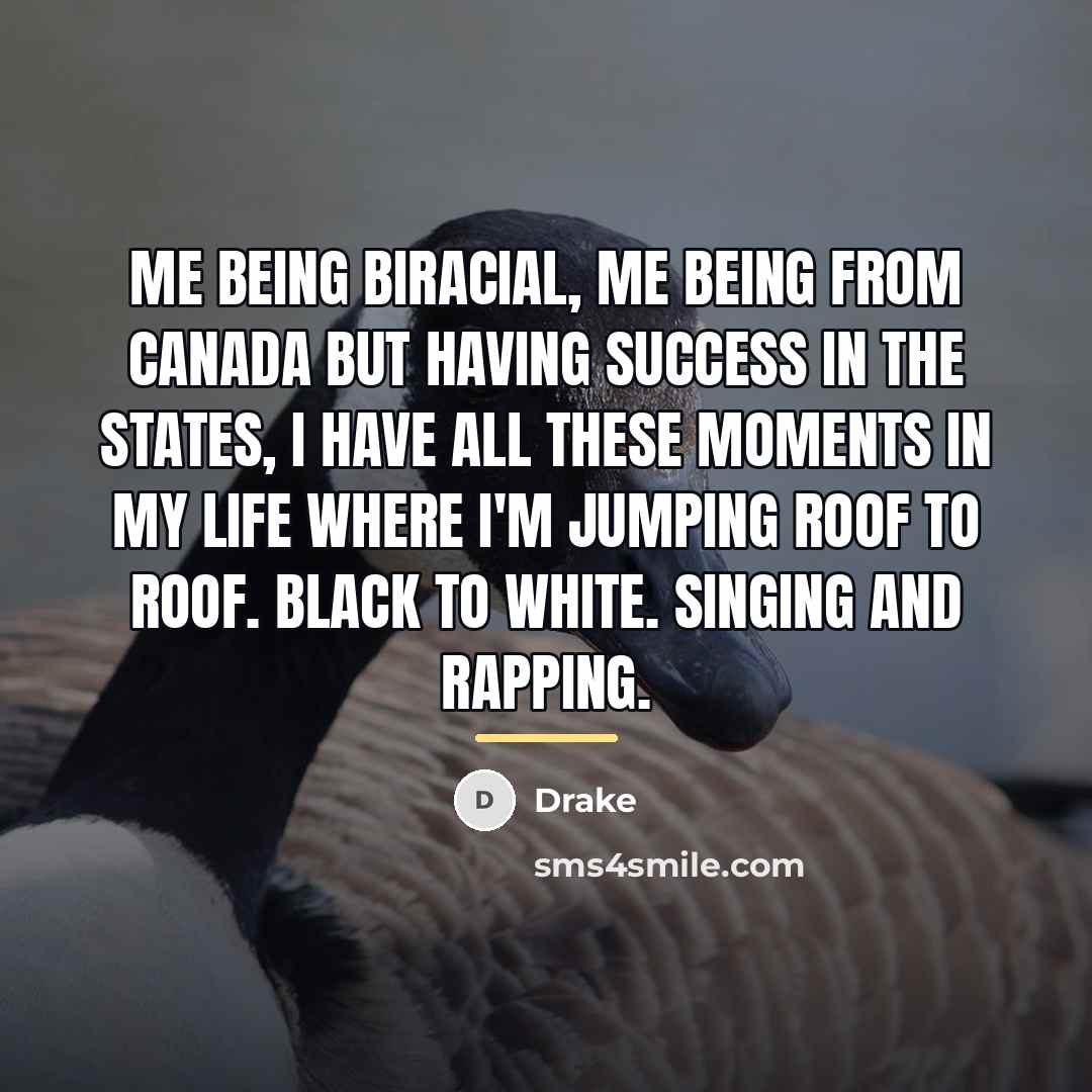 “Me being biracial, me being from Canada but having success…” quote by Drake