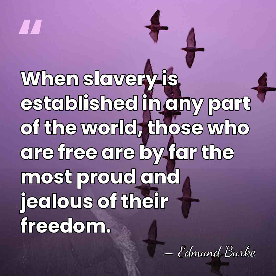 When slavery is established in any part of the world, those who&hellip; - Edmund Burke