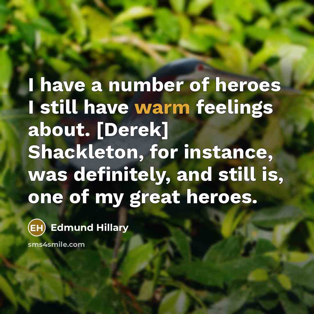 “I have a number of heroes I still have warm…” quote by Edmund Hillary