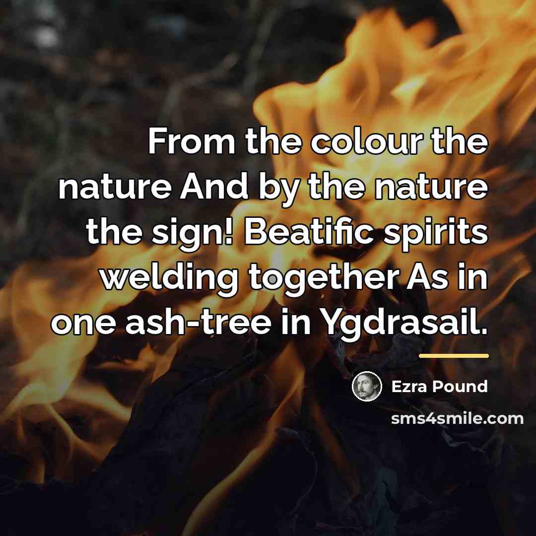 “From the colour the nature And by the nature the…” quote by Ezra Pound