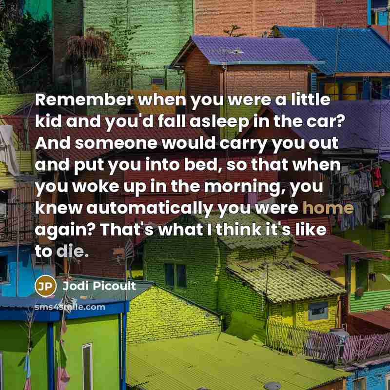 “Remember when you were a little kid and you'd fall…” quote by Jodi Picoult