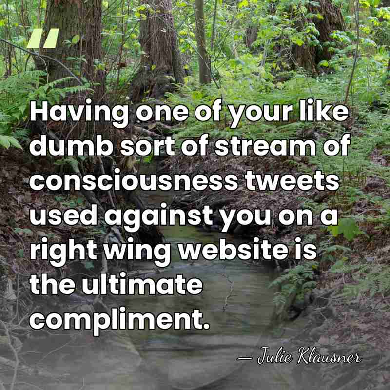 Having one of your like dumb sort of stream of consciousness tweets&hellip; - Julie Klausner