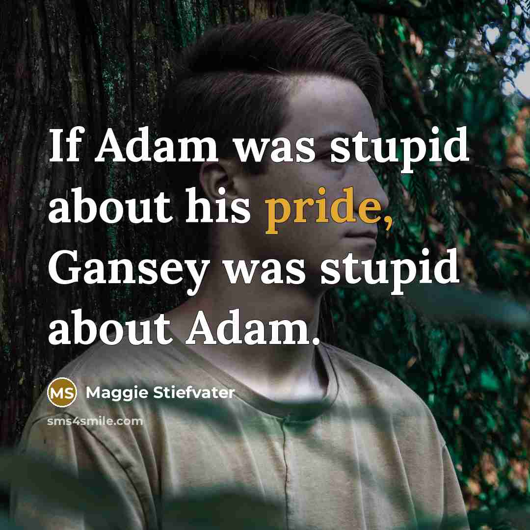 “If Adam was stupid about his pride, Gansey was stupid…” quote by Maggie Stiefvater