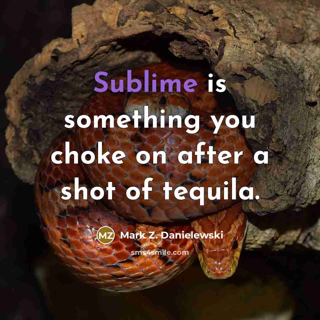 “Sublime is something you choke on after a shot of…” quote by Mark Z. Danielewski