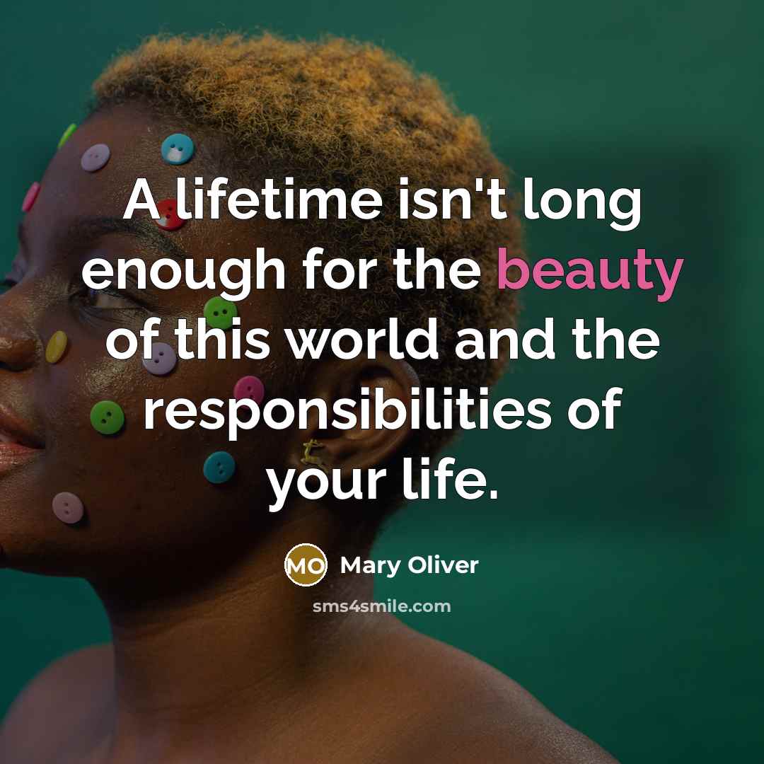 “A lifetime isn't long enough for the beauty of this…” quote by Mary Oliver