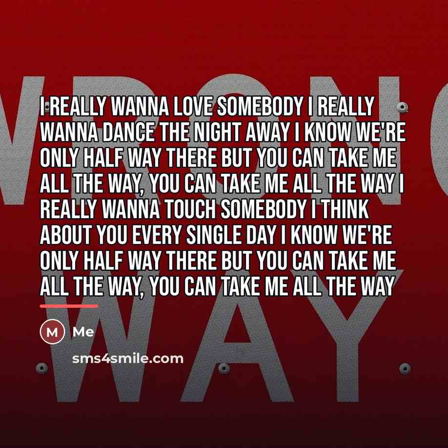 “I really wanna love somebody I really wanna dance the…” quote by Me