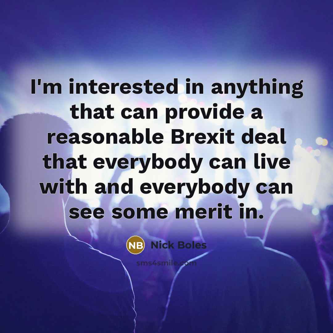 “I'm interested in anything that can provide a reasonable Brexit…” quote by Nick Boles