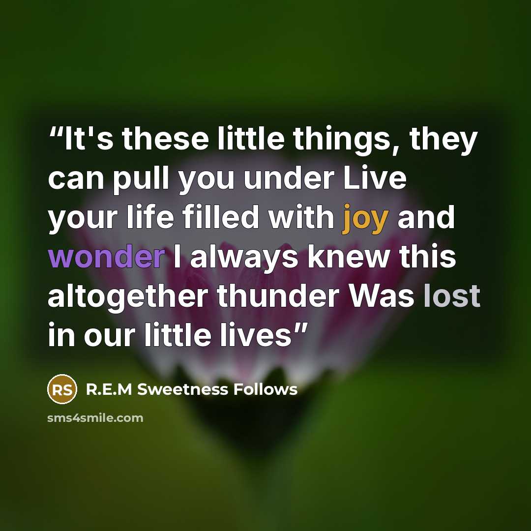 “It's these little things, they can pull you under Live your life filled with joy and wonder I always knew this altogether thunder Was lost in our little lives” quote by R.E.M Sweetness Follows