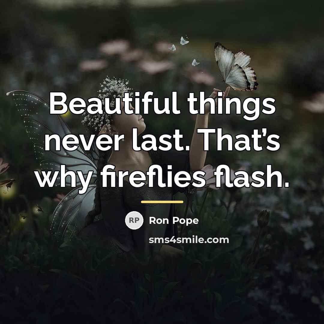 “Beautiful things never last. That’s why fireflies flash.…” quote by Ron Pope