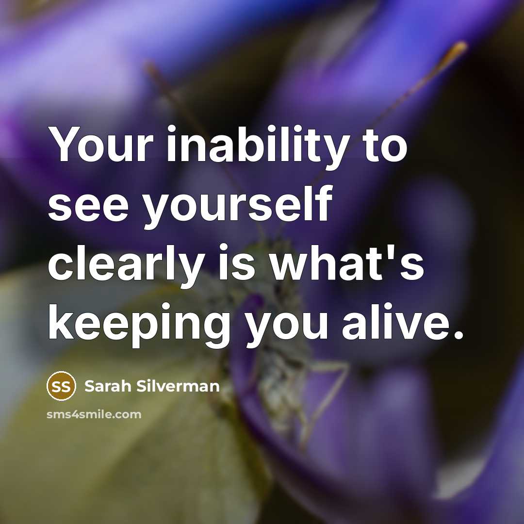 “Your inability to see yourself clearly is what's keeping you…” quote by Sarah Silverman