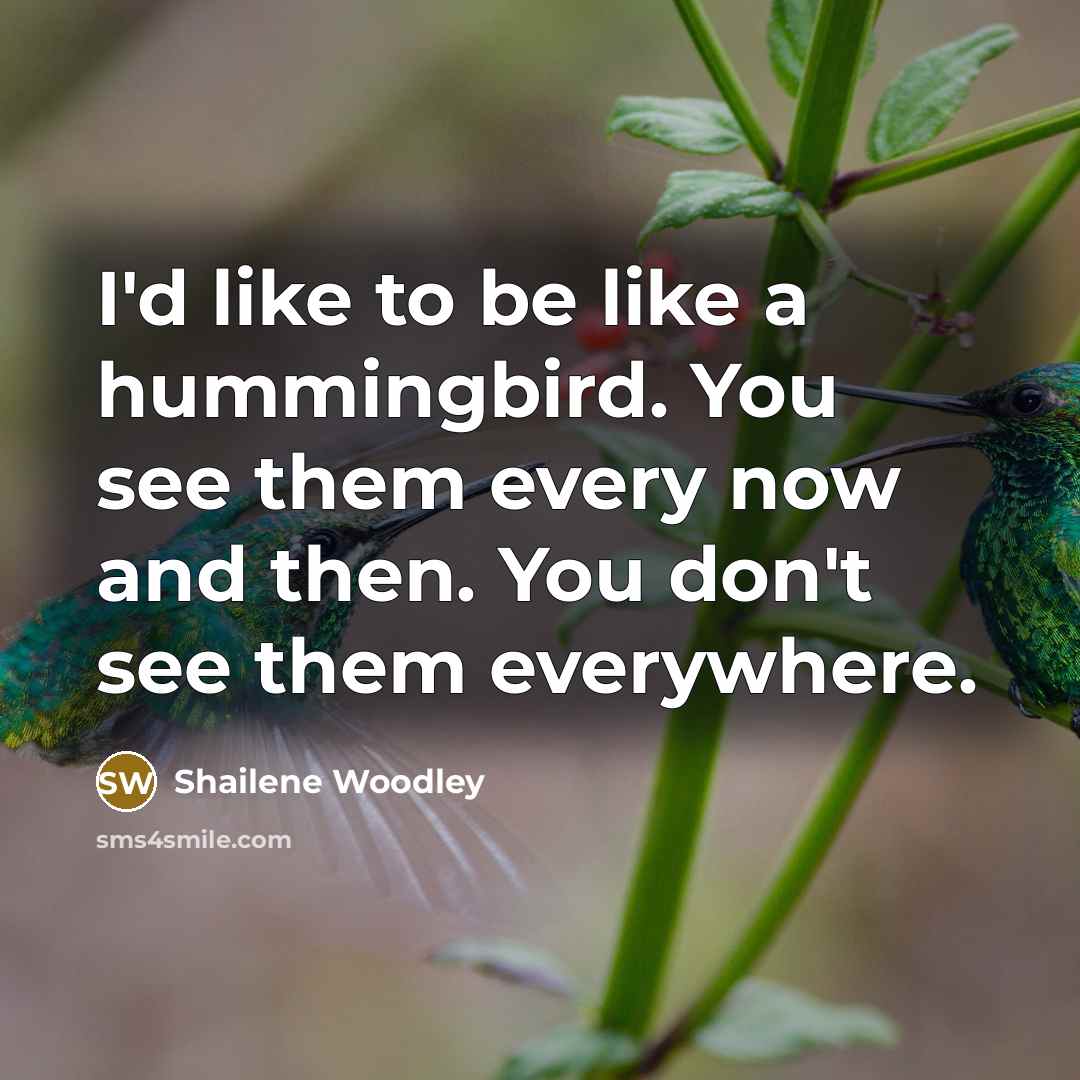 “I'd like to be like a hummingbird. You see them every now and then. You don't see them everywhere.” quote by Shailene Woodley