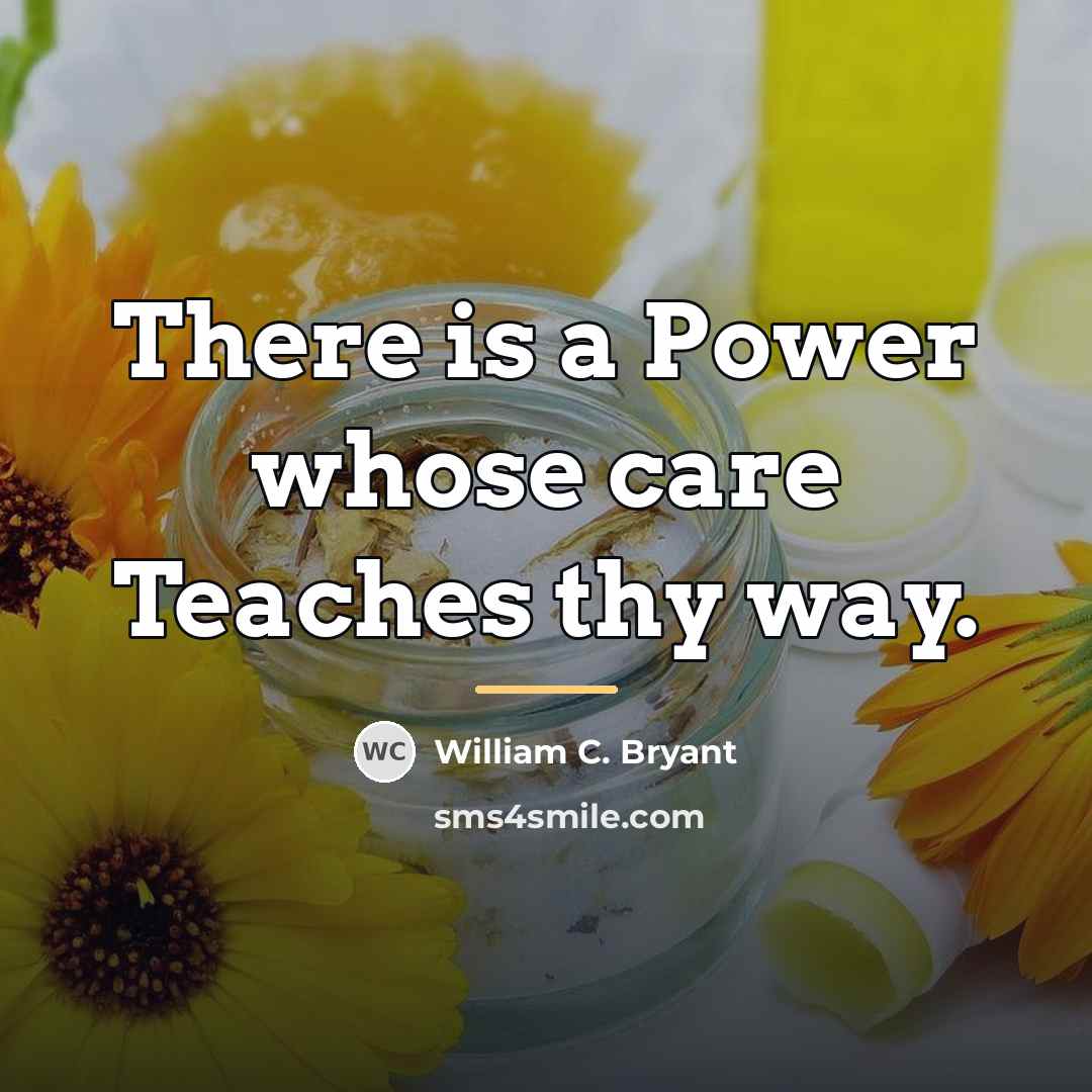 “There is a Power whose care Teaches thy way.…” quote by William C. Bryant