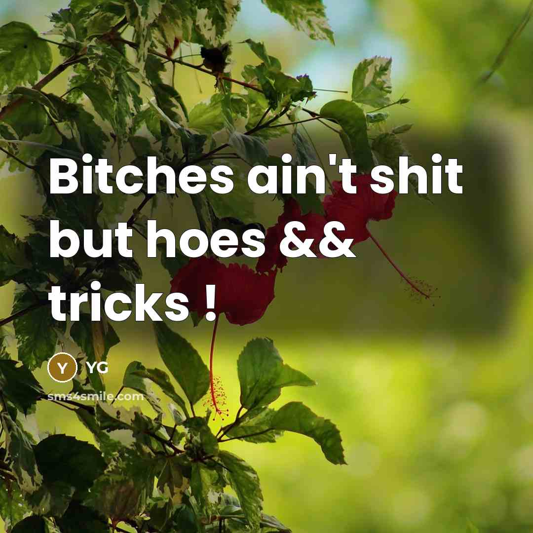 “Bitches ain't shit but hoes && tricks !…” quote by Yg