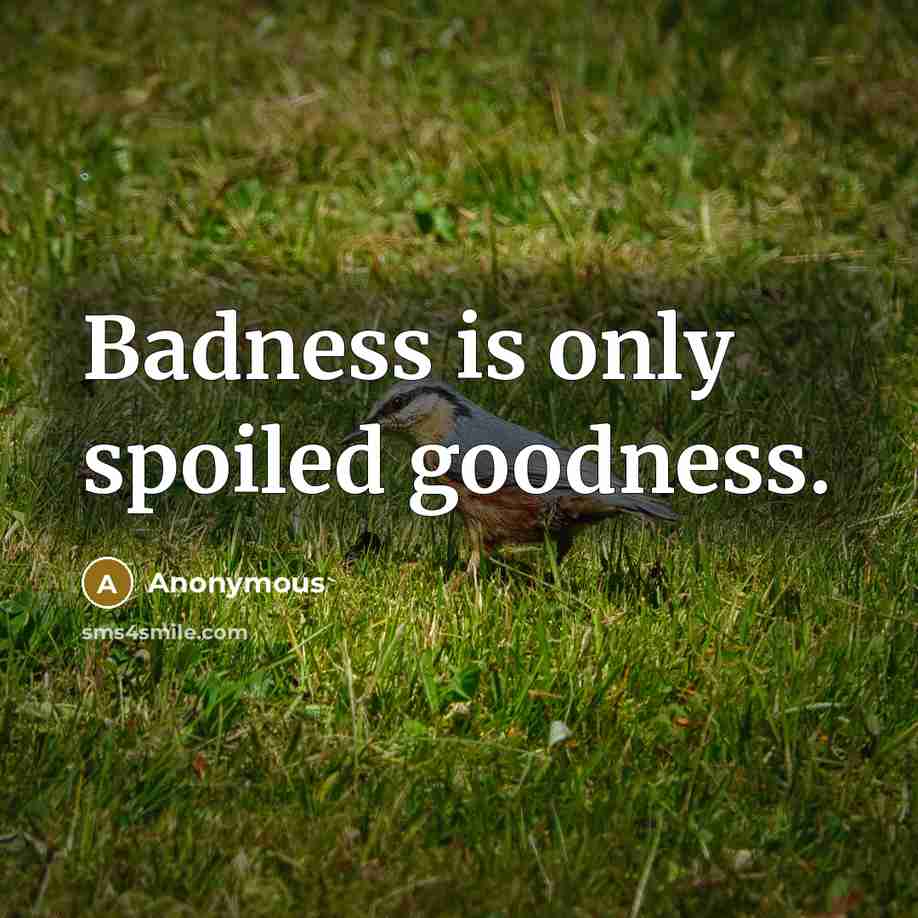“Badness is only spoiled goodness.…” quote by Anonymous
