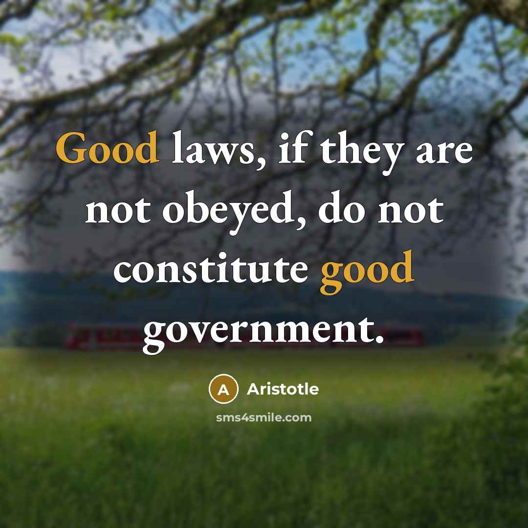 “Good laws, if they are not obeyed, do not constitute good government.” quote by Aristotle
