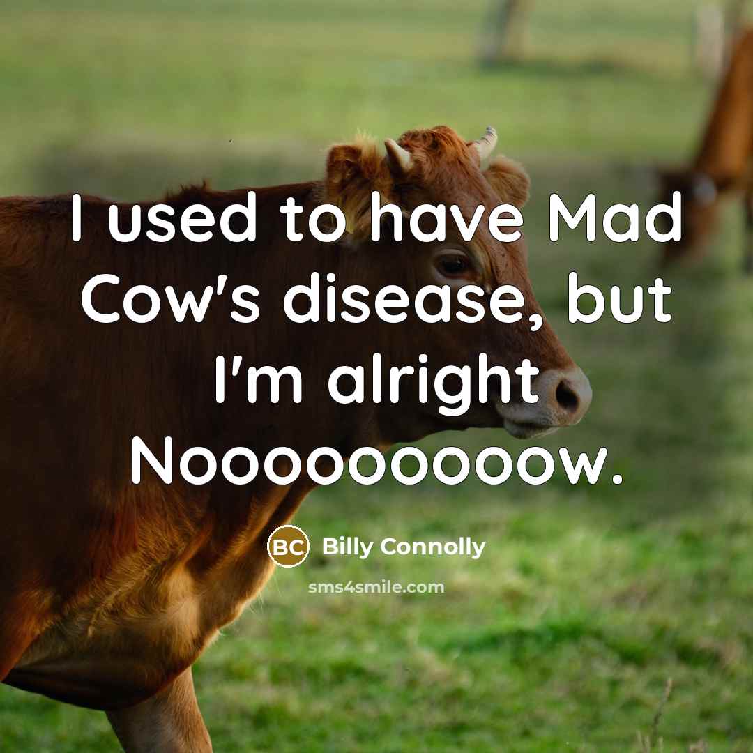 “I used to have Mad Cow's disease, but I'm alright…” quote by Billy Connolly