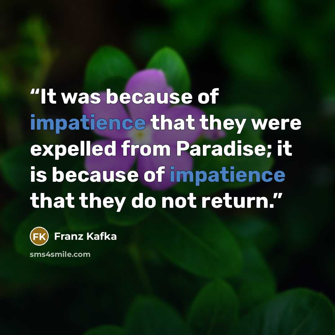 “It was because of impatience that they were expelled from Paradise; it is because of impatience that they do not return.” quote by Franz Kafka