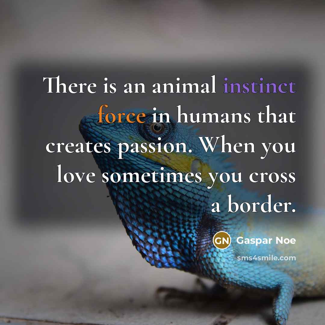 “There is an animal instinct force in humans that creates…” quote by Gaspar Noe