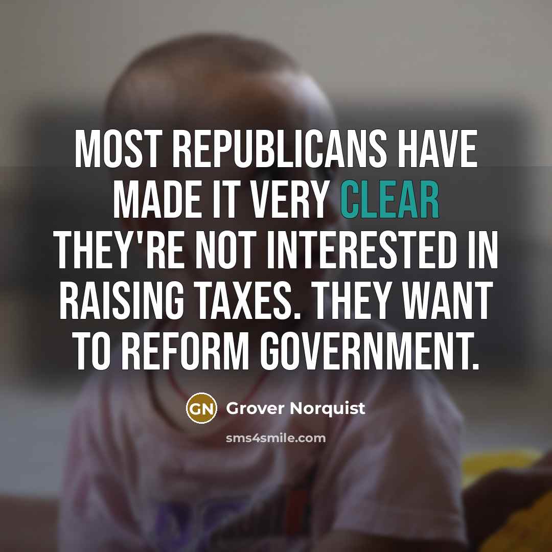 “Most Republicans have made it very clear they're not interested…” quote by Grover Norquist
