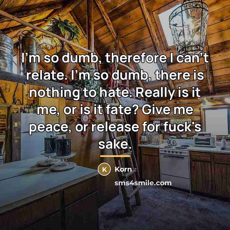 “I'm so dumb, therefore I can't relate. I'm so dumb,…” quote by Korn