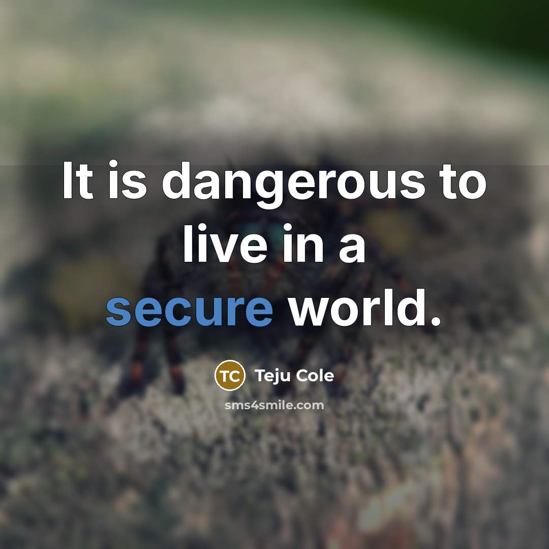 “It is dangerous to live in a secure world.…” quote by Teju Cole
