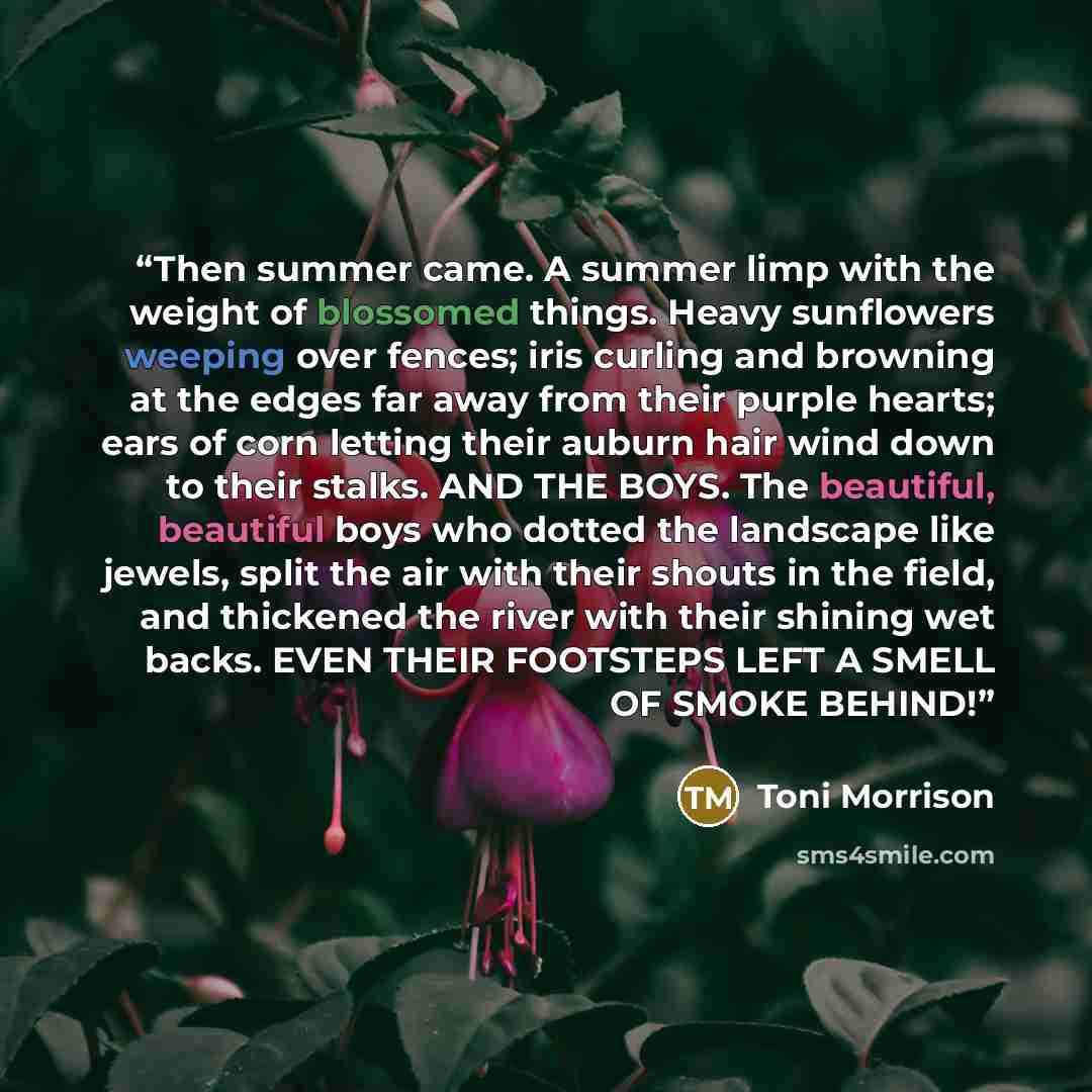 “Then summer came. A summer limp with the weight of blossomed things. Heavy sunflowers weeping over fences; iris curling and browning at the edges far away from their purple hearts; ears of corn letting their auburn hair wind down to their stalks. AND THE BOYS. The beautiful, beautiful boys who…” quote by Toni Morrison