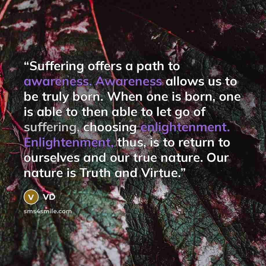 “Suffering offers a path to awareness. Awareness allows us to be truly born. When one is born, one is able to then able to let go of suffering, choosing enlightenment. Enlightenment, thus, is to return to ourselves and our true nature. Our nature is Truth and Virtue.” quote by VD