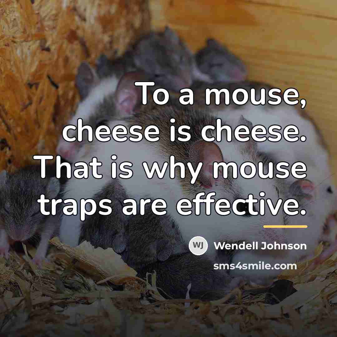 “To a mouse, cheese is cheese. That is why mouse…” quote by Wendell Johnson