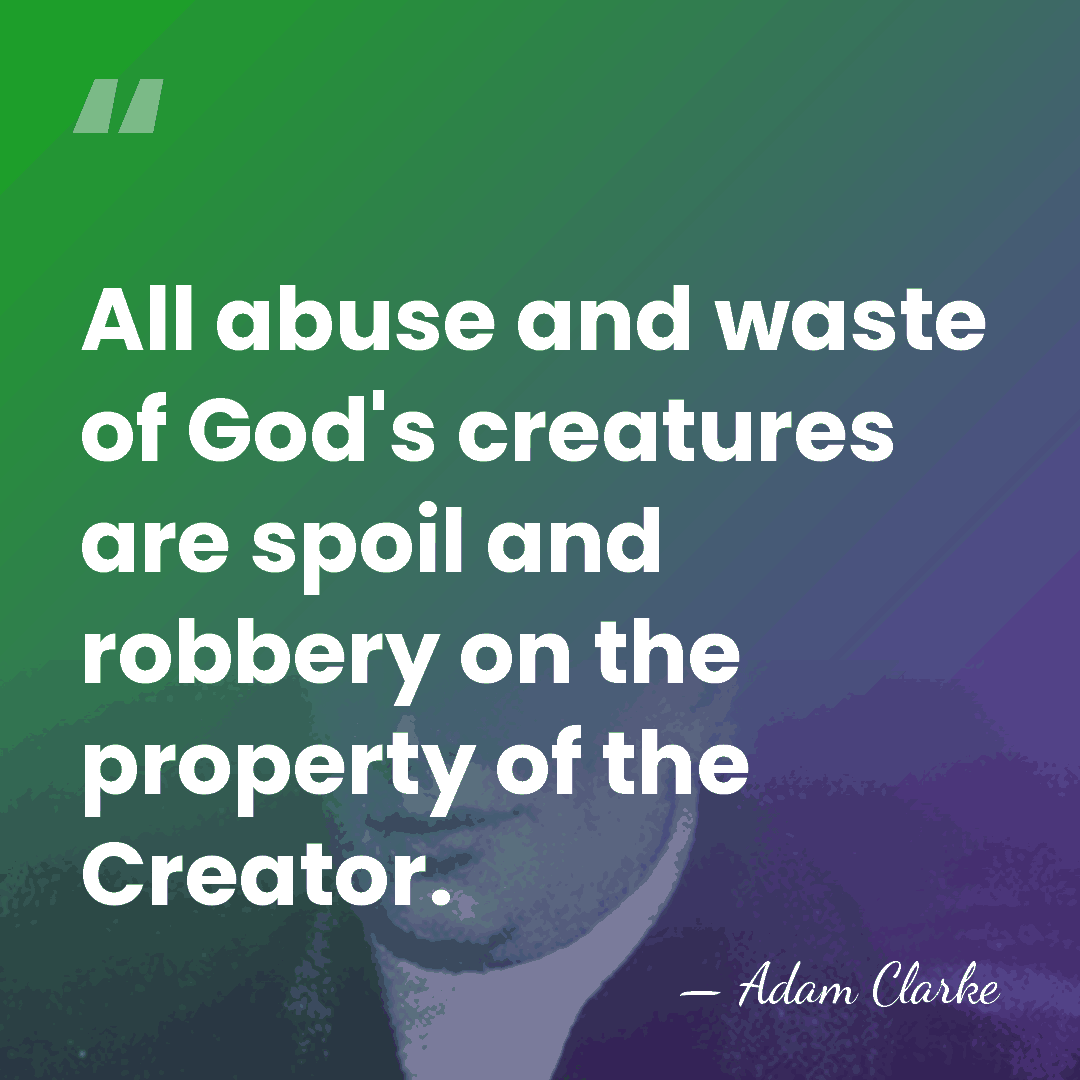 All abuse and waste of God's creatures are spoil and robbery on&hellip; - Adam Clarke