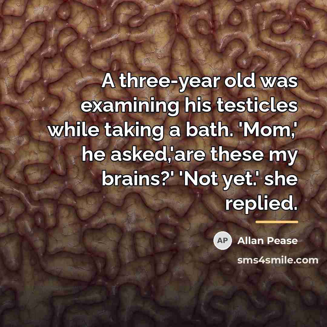 “A three-year old was examining his testicles while taking a…” quote by Allan Pease