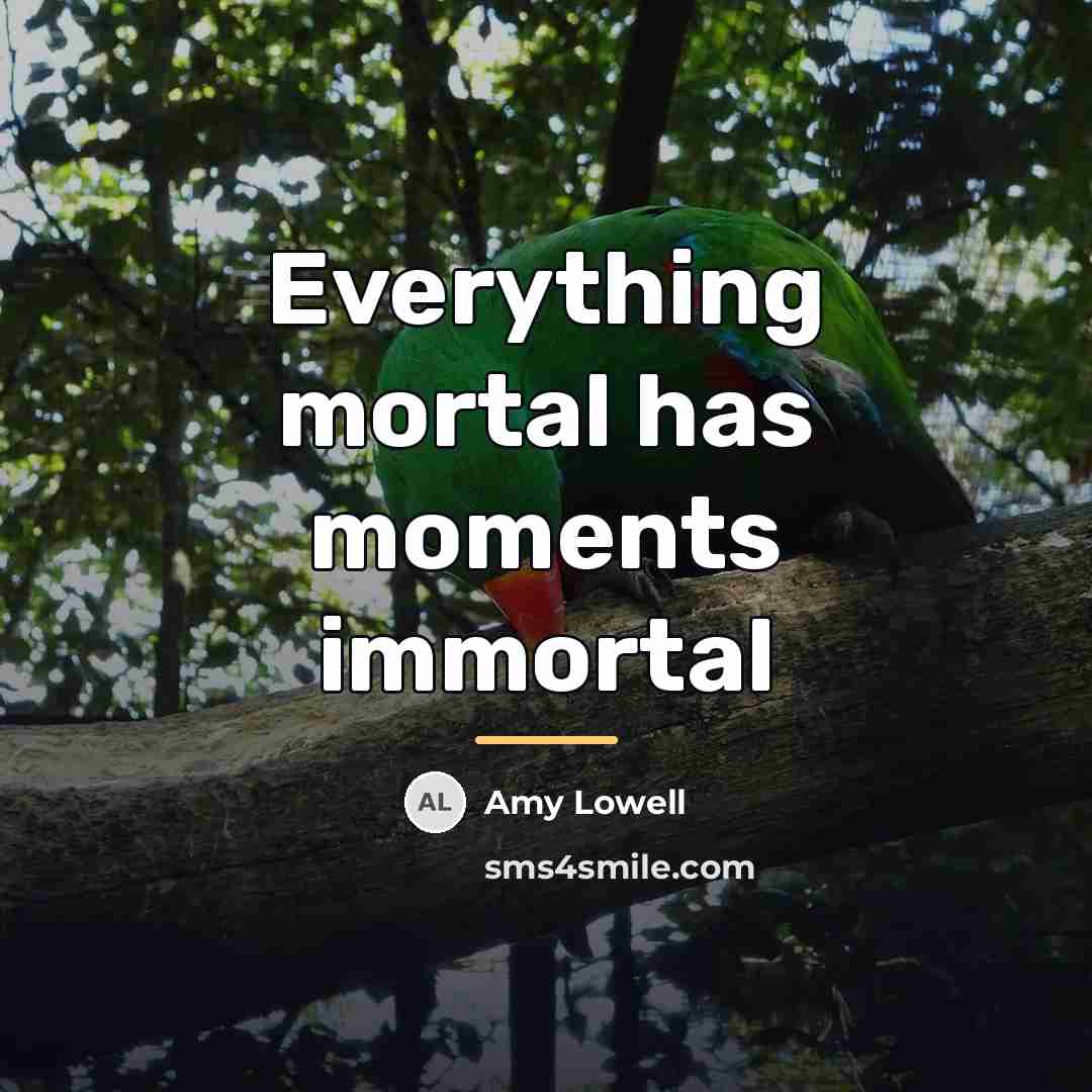 “Everything mortal has moments immortal…” quote by Amy Lowell