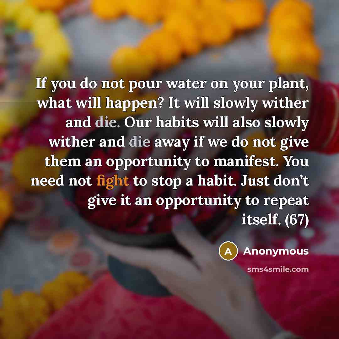 “If you do not pour water on your plant, what…” quote by Anonymous