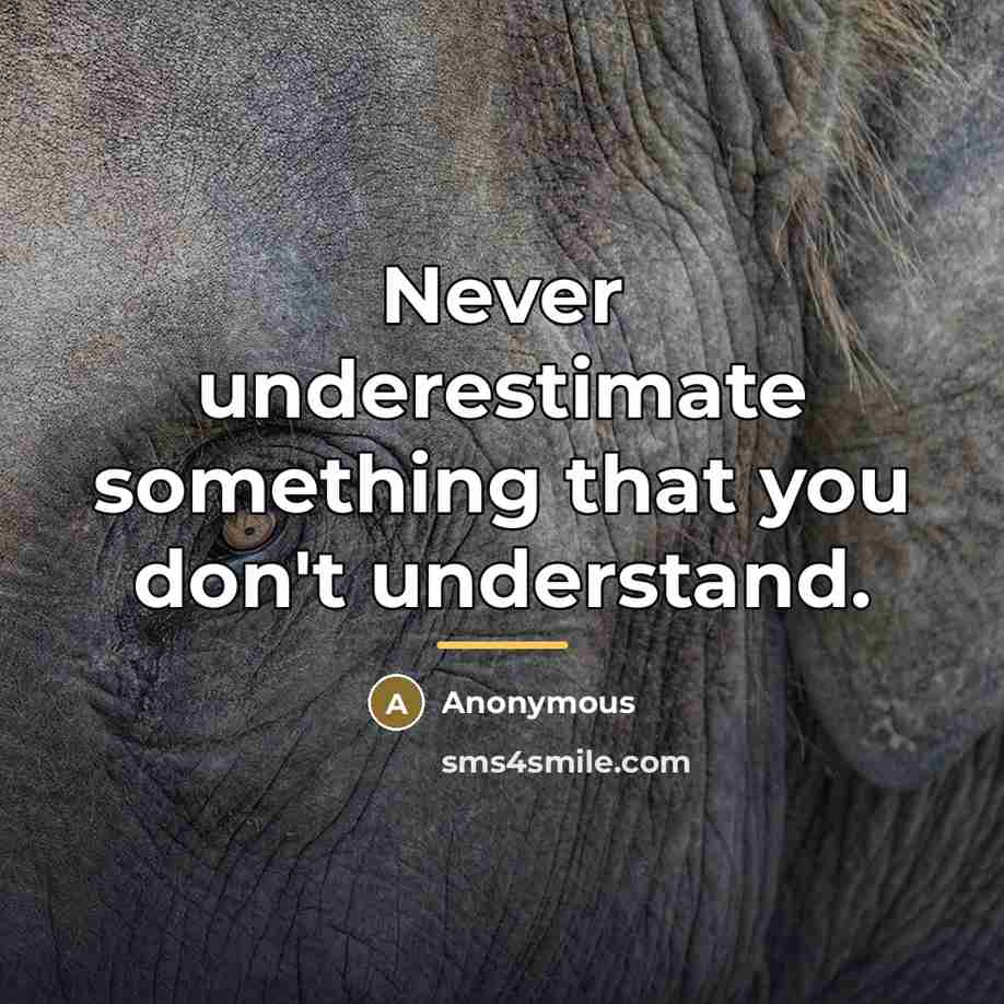 “Never underestimate something that you don't understand.…” quote by Anonymous