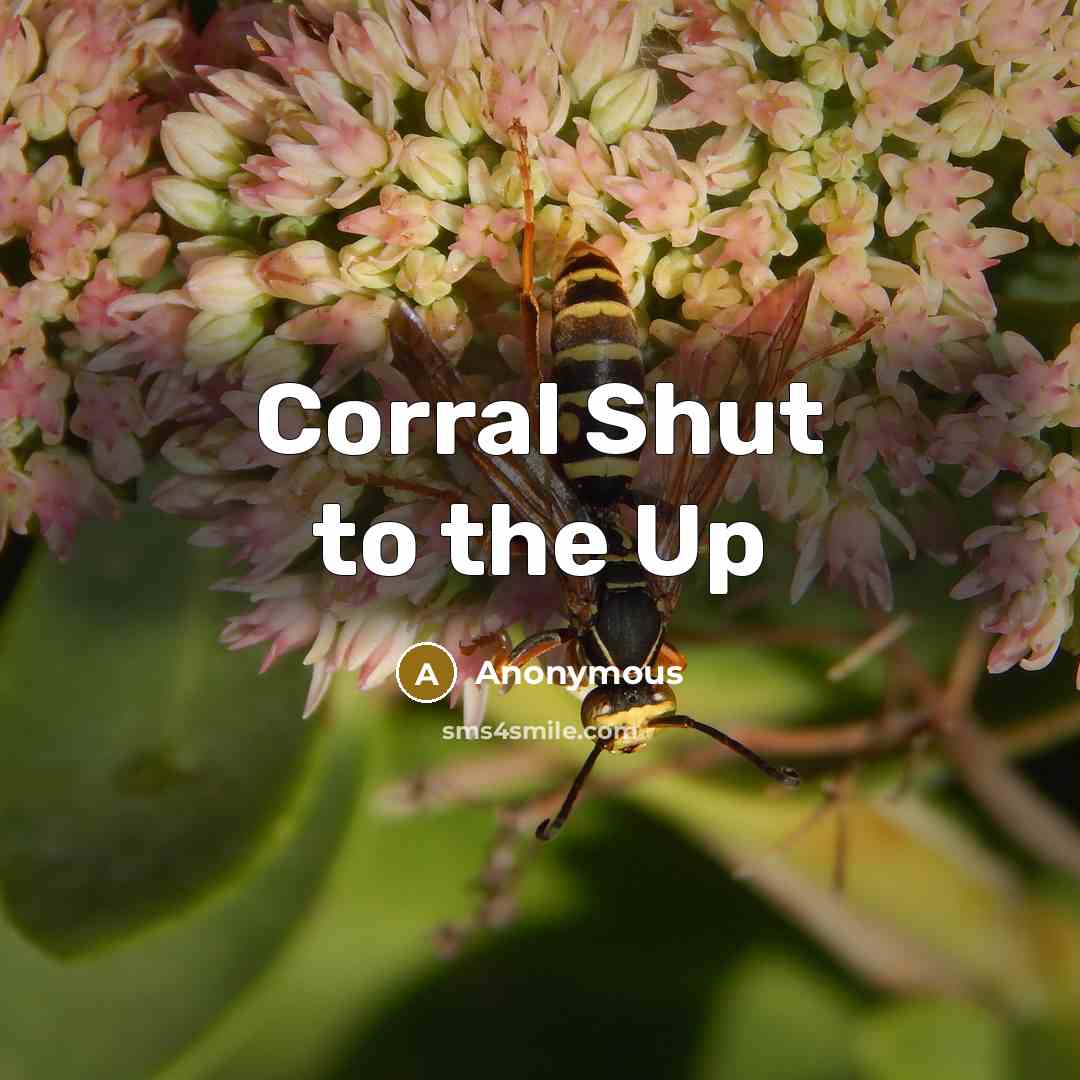 “Corral Shut to the Up…” quote by Anonymous
