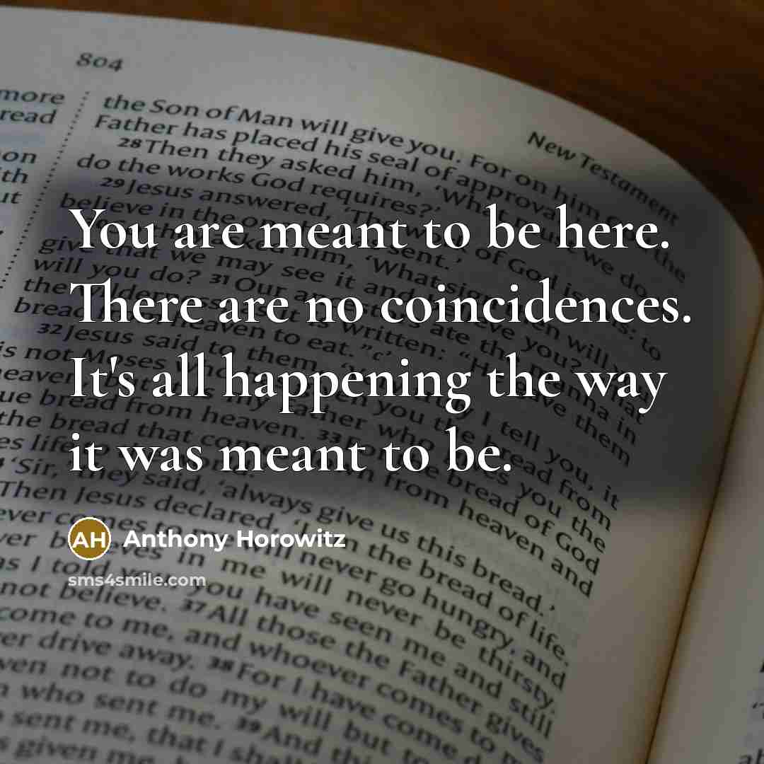 “You are meant to be here. There are no coincidences.…” quote by Anthony Horowitz