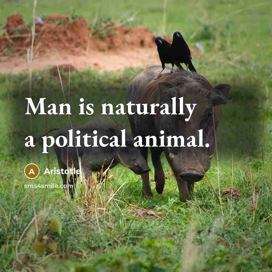 “Man is naturally a political animal.…” quote by Aristotle
