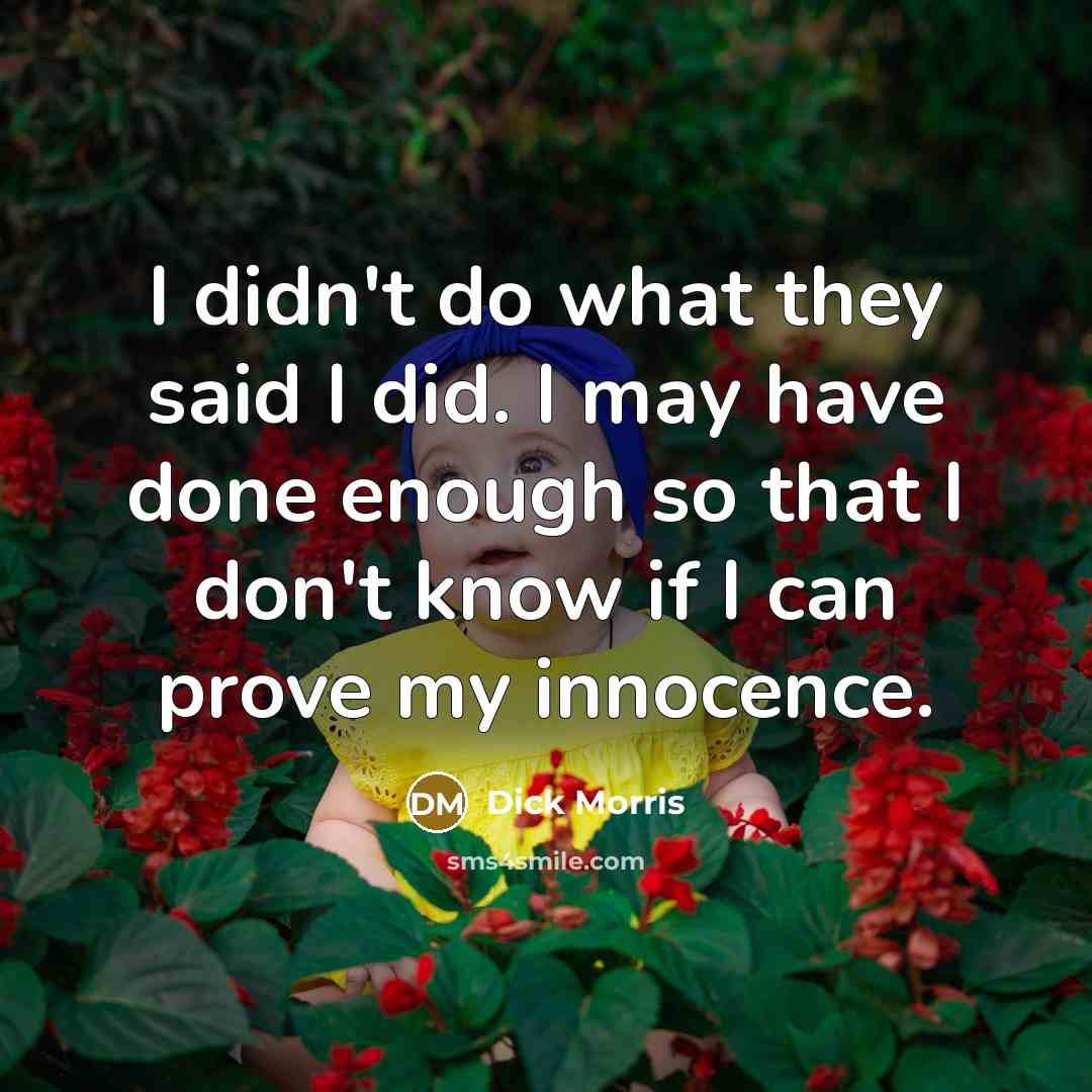 “I didn't do what they said I did. I may…” quote by Dick Morris