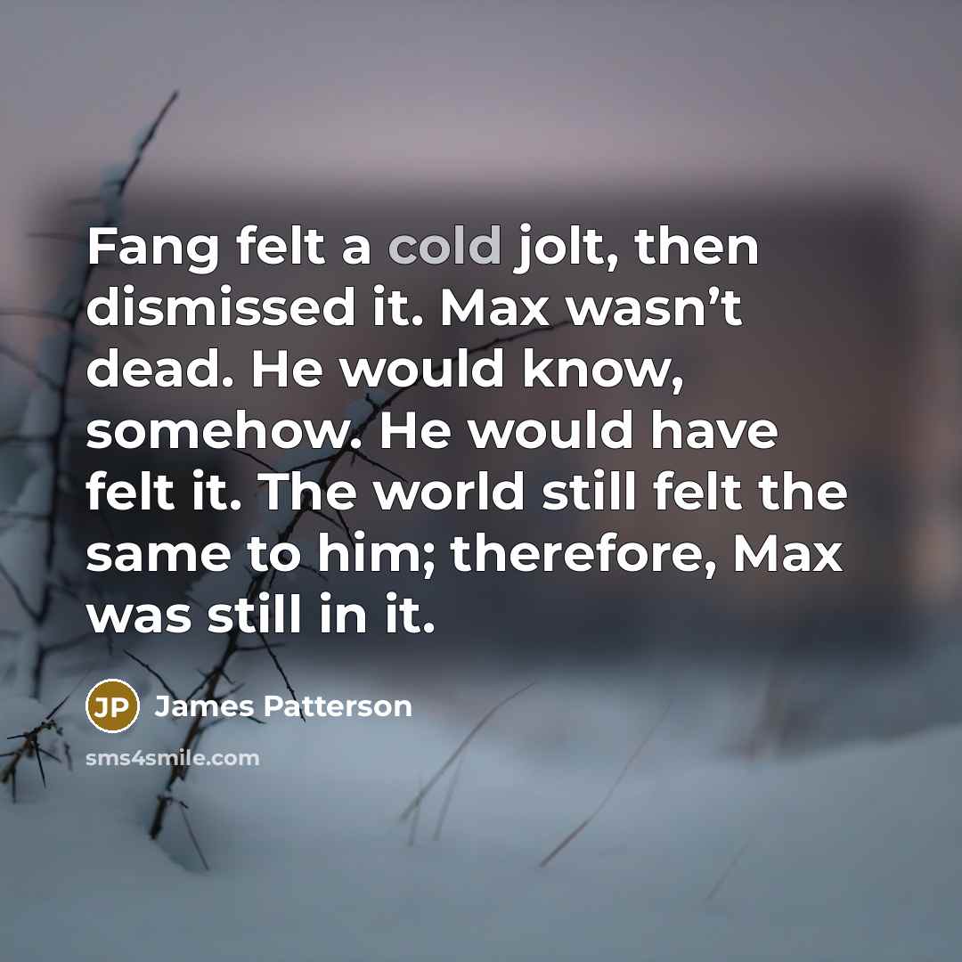 “Fang felt a cold jolt, then dismissed it. Max wasn’t…” quote by James Patterson