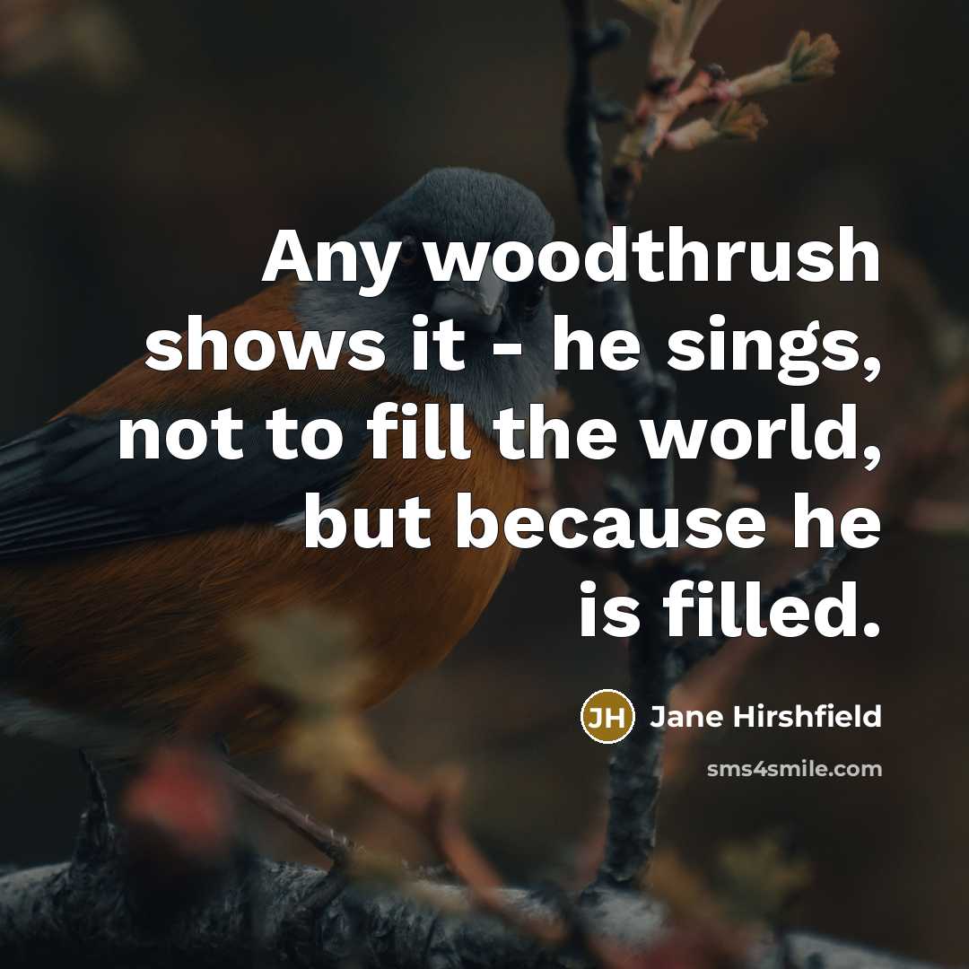 “Any woodthrush shows it - he sings, not to fill…” quote by Jane Hirshfield