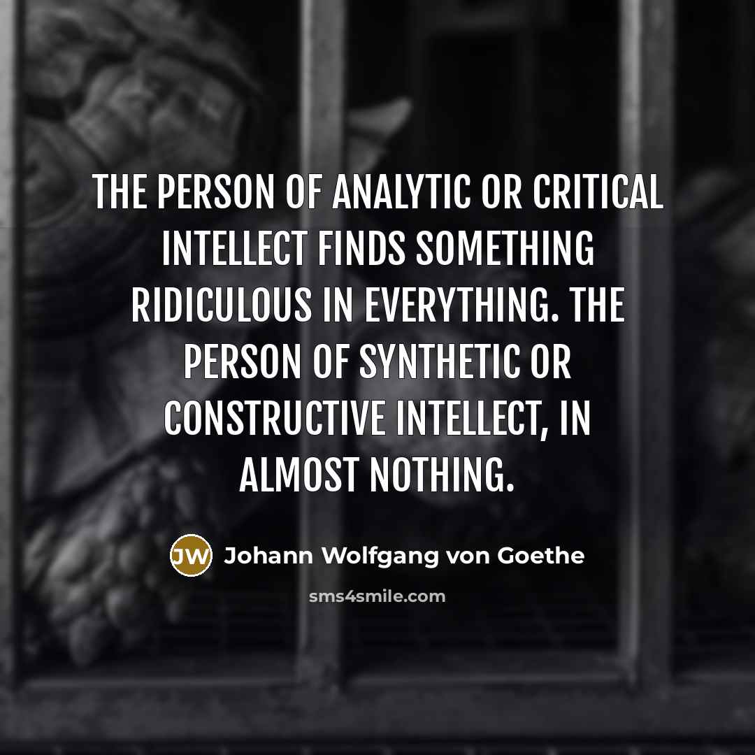 “The person of analytic or critical intellect finds something ridiculous…” quote by Johann Wolfgang von Goethe
