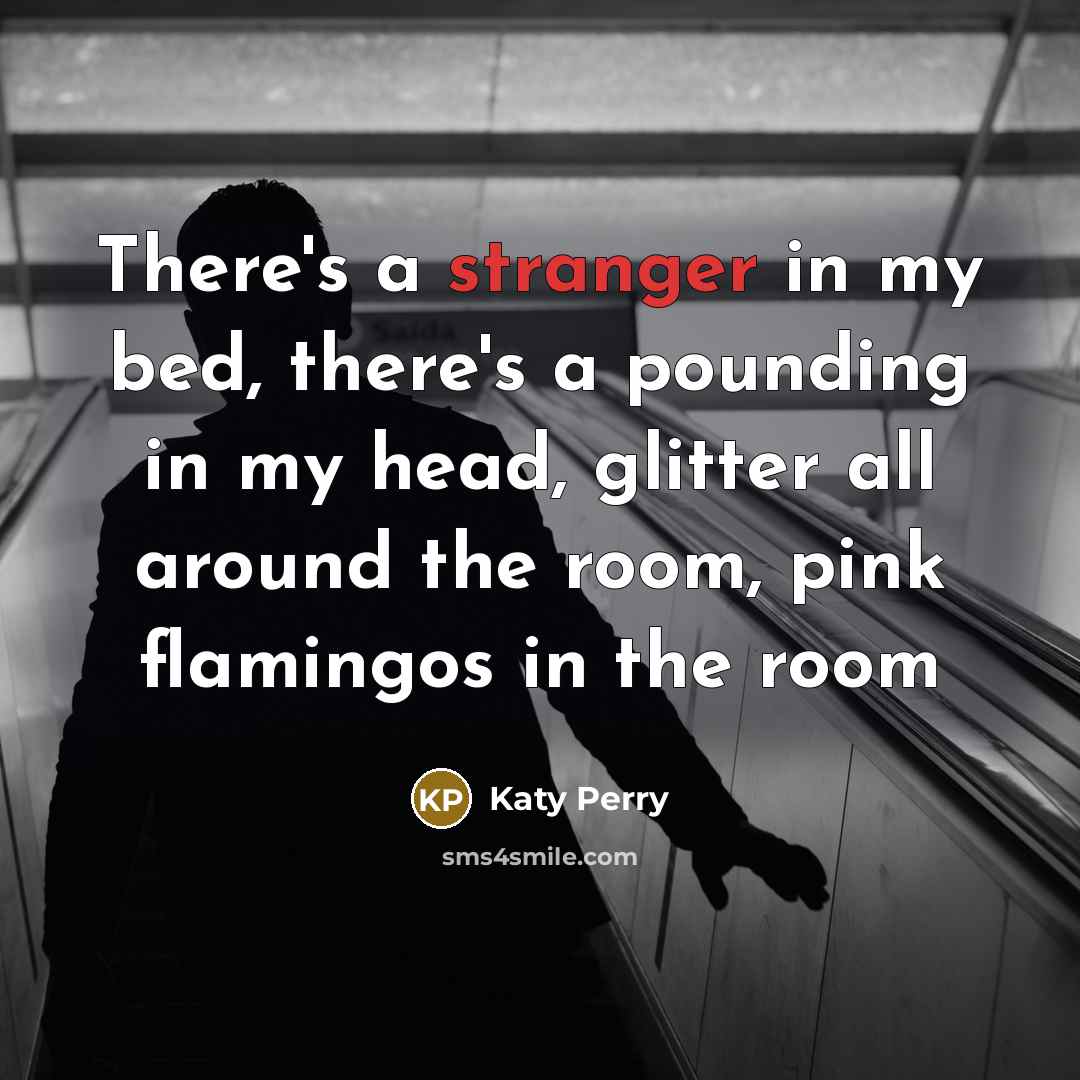 “There's a stranger in my bed, there's a pounding in my head, glitter all around the room, pink flamingos in the room” quote by Katy Perry