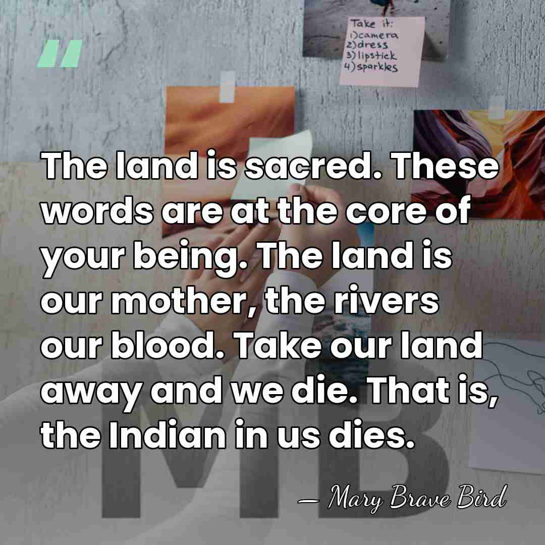 The land is sacred. These words are at the core of your&hellip; - Mary Brave Bird