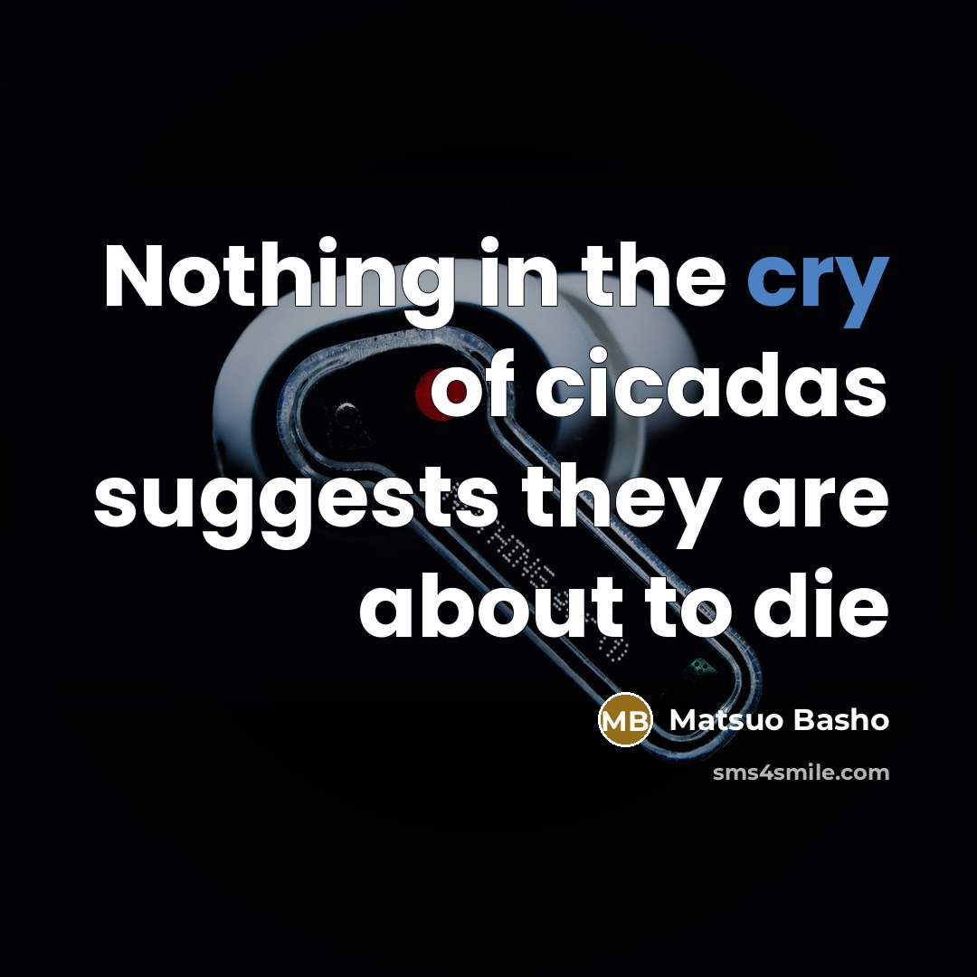 “Nothing in the cry of cicadas suggests they are about…” quote by Matsuo Basho