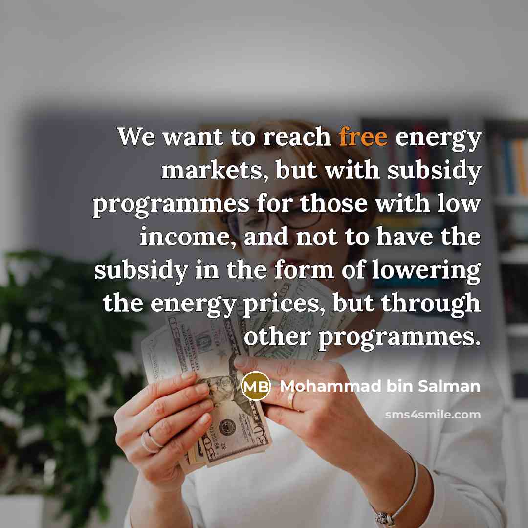 “We want to reach free energy markets, but with subsidy…” quote by Mohammad bin Salman