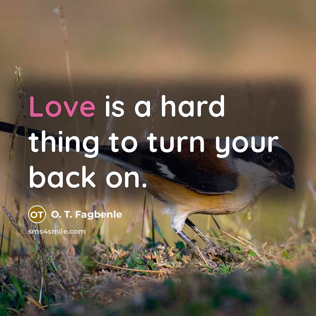 “Love is a hard thing to turn your back on.…” quote by O. T. Fagbenle