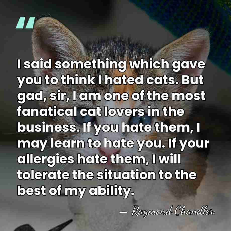 I said something which gave you to think I hated cats. But&hellip; - Raymond Chandler