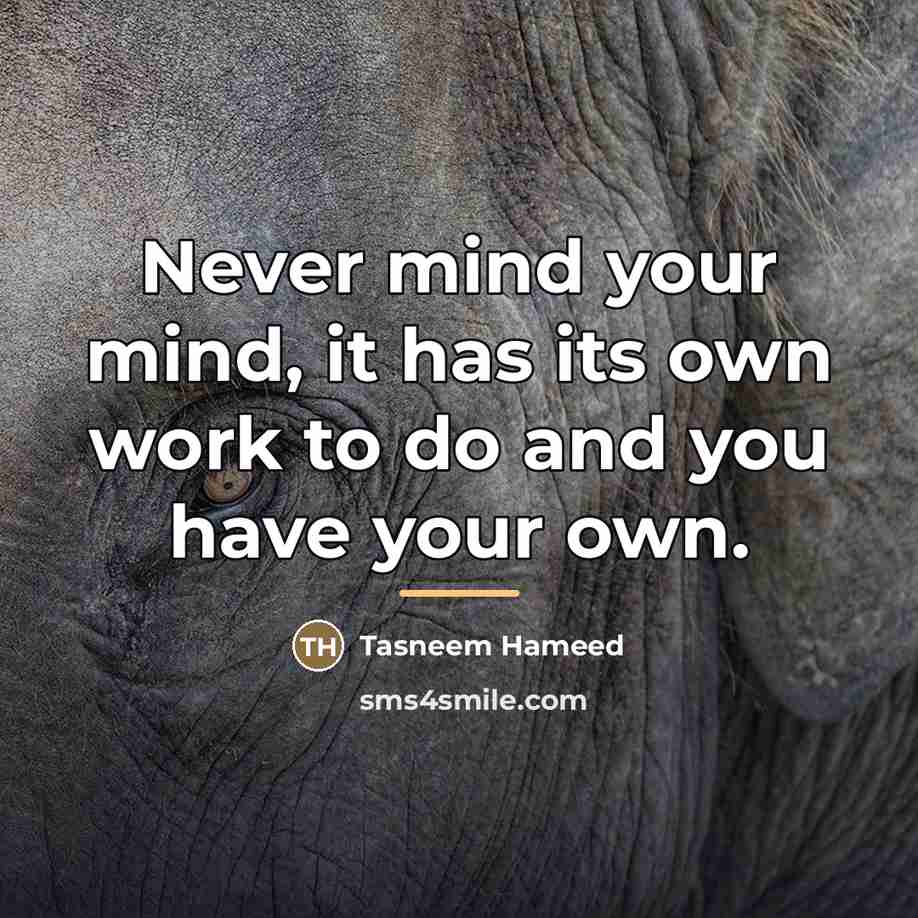 “Never mind your mind, it has its own work to…” quote by Tasneem Hameed