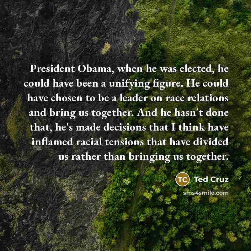 “President Obama, when he was elected, he could have been…” quote by Ted Cruz